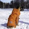 Дощовик на змійці Dogs Bomba оранж MZ-8