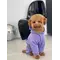 Костюм Dogs Bomba з кишенею фіолет D-142 Костюм Dogs Bomba з кишенею фіолет D-142