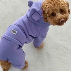 Костюм Dogs Bomba з кишенею фіолет D-142