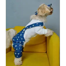 Костюм із лямками джинс панди D-213