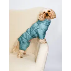 Зимовий комбінезон Comfort м'ята R-64