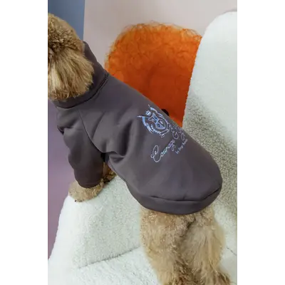 Толстовка Кураж шоколад Y-379