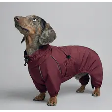 Дощовик для такс марсала MT-32