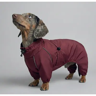 Дощовик для такс марсала MT-32