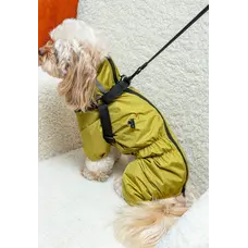 Дощовик зі шлеєю гірчичний MS-12