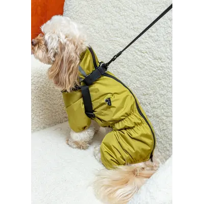 Дощовик зі шлеєю гірчичний MS-12