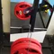 Упряж EasyFit для шиї (нейлон)