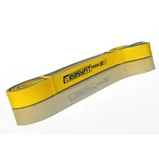 Двошарова резинка для підтягування EasyFit Premium 16-32 кг