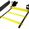 Координаційна драбина EasyFit 10 м