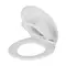 Сиденье для унитаза NKP FAMILY soft close 0348