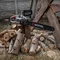Пила ланцюгова електрична 2400 Вт, шина 40 см, плавний пуск, прямий двигун INTERTOOL DT-2204