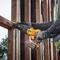 Акумуляторна шабельна пила DeWALT DCS386NT (18 В, без АКБ, 3000 ход/хв)