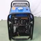 Генератор дизельний BLUETOOLS DG4500E + олива (4 кВт) (220-7009)