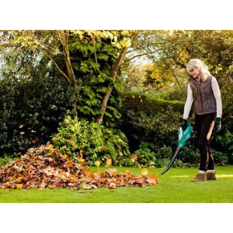 Повітродувка акумуляторна Bosch ALB 18 LI (18 В, 2.5 А*год, 210 км/год) (06008A0501) Повітродувка акумуляторна Bosch ALB 18 LI (18 В, 2.5 А*год, 210 км/год) (06008A0501)