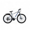 Велосипед 29" NewSpeed MTB-2-29 Білий з блакитним
