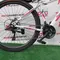 Велосипед 29" NewSpeed GT (NS-SD2) Білий з блакитним Велосипед 29" NewSpeed GT (NS-SD2) Білий з блакитним