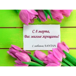 SANTAN поздравляет всех женщин с 8 марта!