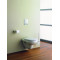 Панель смыва Grohe Skate Cosmopolitan для унитаза (38732000)