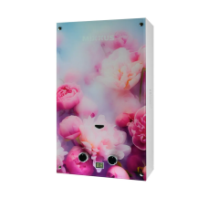 Газовая колонка MIXXUS GWH-0410 BASIC GLASS дымоходная 10 л/мин (панель из стекла с рисунком) (WH00