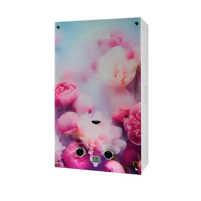Газовая колонка MIXXUS GWH-0410 BASIC GLASS дымоходная 10 л/мин (панель из стекла с рисунком) (WH00 Газовая колонка MIXXUS GWH-0410 BASIC GLASS дымоходная 10 л/мин (панель из стекла с рисунком) (WH00