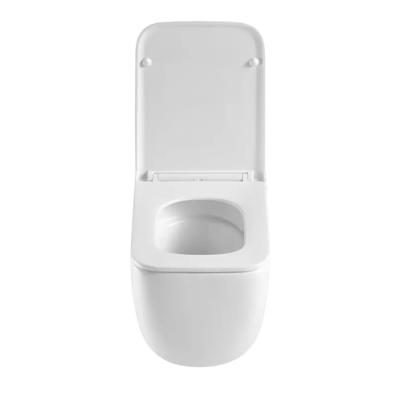 Унитаз подвесной Mixxus Premium Diverse-0101-T1 530x365x373mm, система смыва Tornado 1.0 (MP6477) Унитаз подвесной Mixxus Premium Diverse-0101-T1 530x365x373mm, система смыва Tornado 1.0 (MP6477)