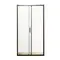 Дверь в нишу Mixxus Premium DIVERSE SD01-120x185-TR Black прозрачное стекло 5мм (MI6877)