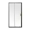 Дверь в нишу Mixxus Premium DIVERSE SD01-120x185-TR Black прозрачное стекло 5мм (MI6877)