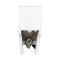 Унитаз моноблок напольный Mixxus BEVEL-0406-T1 690х360х790mm, система смыва TORNADO 1.0 (MI6729)