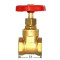 Задвижка клиновая СК 2 1/2" (SK0108)