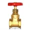 Задвижка клиновая СК 2 1/2" (SK0108)