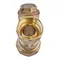 Фильтр грубой очистки с ушком (латунь) Waterpro WP200-25 - 1" (WP3306) Фильтр грубой очистки с ушком (латунь) Waterpro WP200-25 - 1" (WP3306)