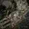 M-Tac підсумок утилітарний Elite Medium MM14