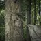 M-Tac ремінь утилітарний Olive