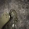 M-Tac темляк Zeus Stainless Steel Olive