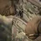 M-Tac підсумок Admin Large Elite Multicam M-Tac підсумок Admin Large Elite Multicam