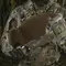 M-Tac пояс тактичний War Belt Tiger D-Ring Cobra Multicam