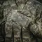 M-Tac підсумок Admin Elite MM14 M-Tac підсумок Admin Elite MM14