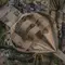 M-Tac підсумок медичний вертикальний Large Elite Multicam