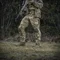 M-Tac штани Army Gen.II NYCO Multicam