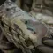 M-Tac підсумок утилітарний Elite Medium Multicam