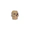 M-Tac намистина Skull Stopper Coyote Brown