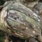 M-Tac підсумок утилітарний горизонтальный Gen.3 Multicam