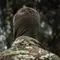 M-Tac шарф-труба микрофлис рип-стоп Dark Olive