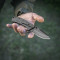 M-Tac нож складной Type 7 Black