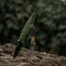 M-Tac темляк Scandinavian Small Трикветр Olive