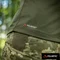 M-TAC ФУТБОЛКА ULTRA LIGHT POLARTEC LADY ARMY OLIVE