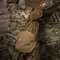 M-Tac підсумок утилітарний Elite Small Coyote M-Tac підсумок утилітарний Elite Small Coyote