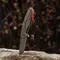 M-Tac темляк Scandinavian Mannaz Silver Black&Red