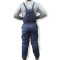 Штаны комбинезон зимние МЧС (ДСНС) Pancer Protection синий 56-58