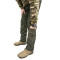 Брюки Pancer Protection олива 48